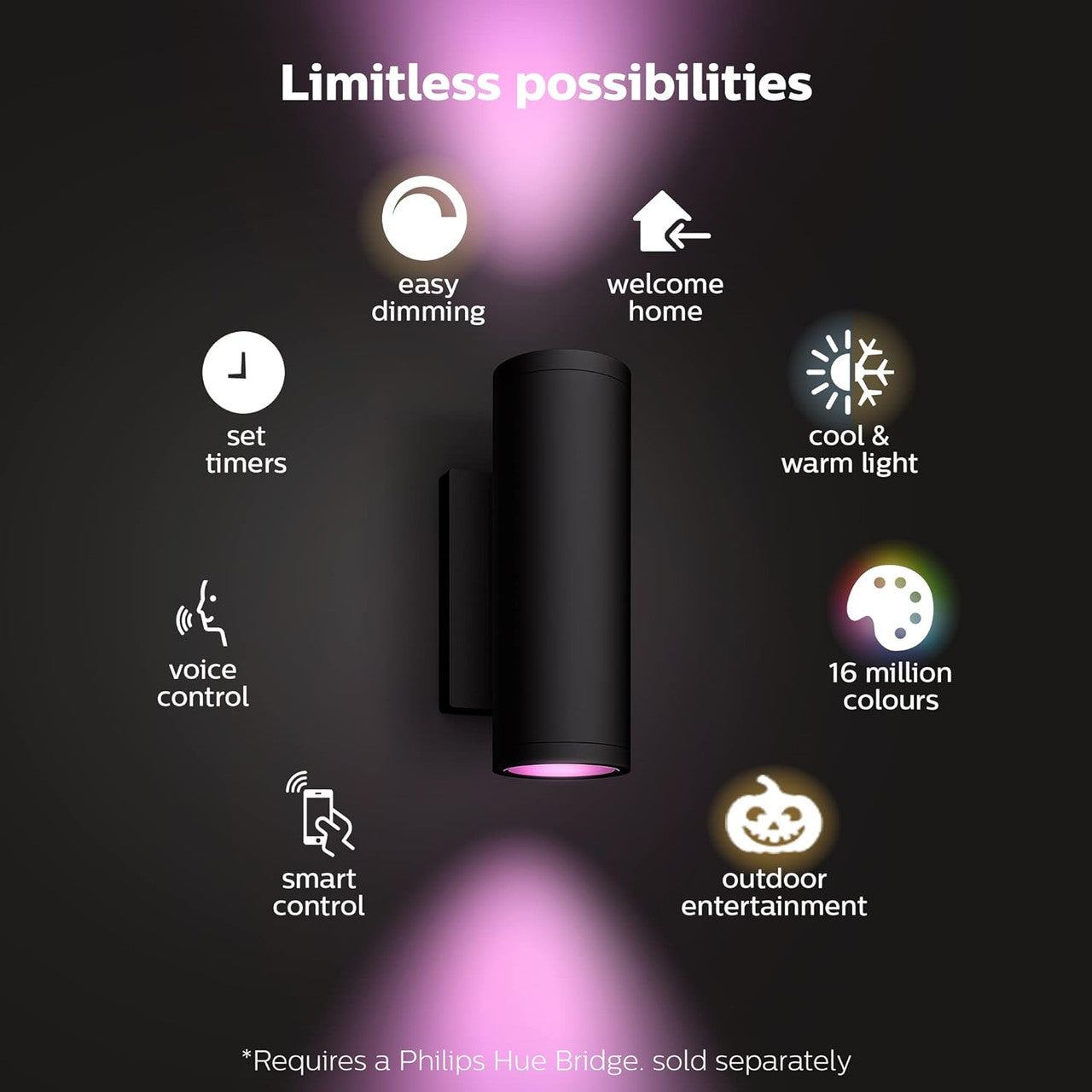 Philips Hue White and Color Ambiance Appear Outdoor Wall Light Fixture 1746330V7