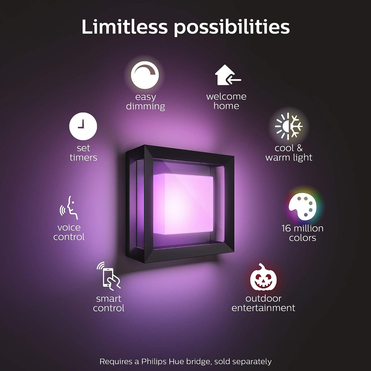 Philips Hue White and Color Ambiance Econic Outdoor Wall Light, Black 1743830V7