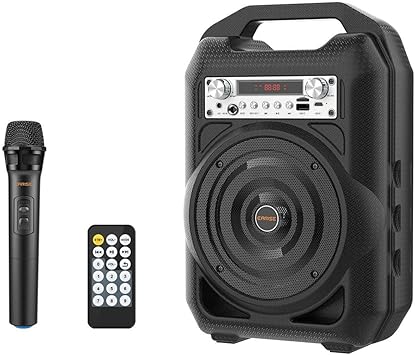 EARISE T35 Provide you with great quality speaker Black VG