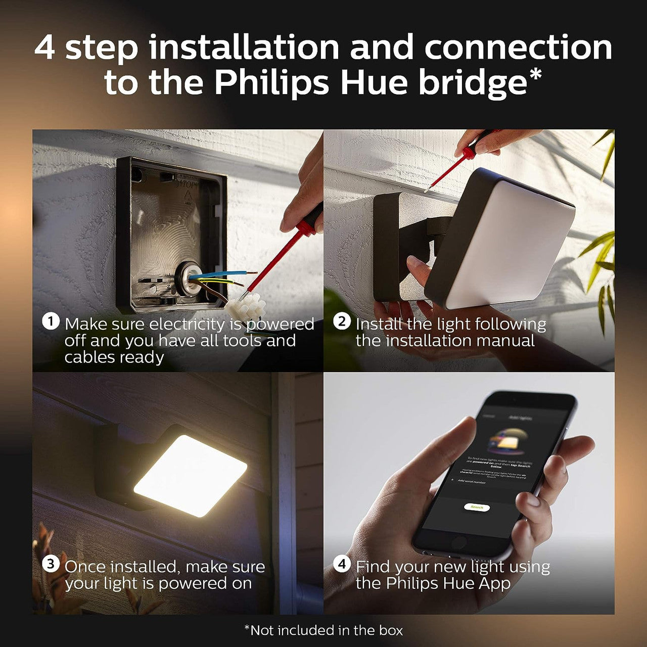 Philips Hue White and Color Ambiance Discover Outdoor Flood Light Fixture 1743530V7